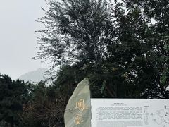 -北京凤凰岭