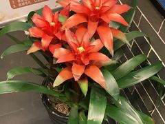 -升艾堂·经络·艾灸·气血(成山路店)