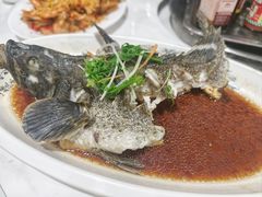 -岛中岛·海鲜大排档·万宁老字号(东澳店)