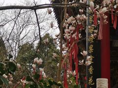 -南岳明心寺