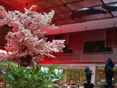 -卡拉卡拉漫温泉汗蒸