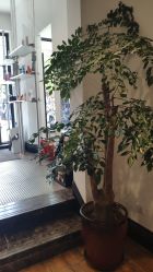 -印·Style造型创始店