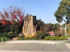 -昆山城市生态森林公园