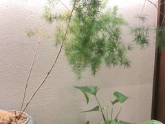 -九福楼大酒店