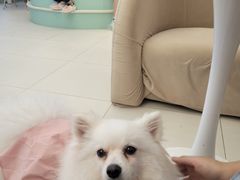 -怪兽屋·羊驼·猫咖·狗咖(俊华广场店)