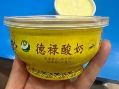 -德禄酸奶(莫家街店)