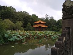 -富乐山