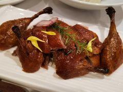 脆皮小乳鸭-圆苑(金茂店)