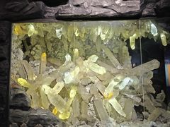 -湖南省地质博物馆