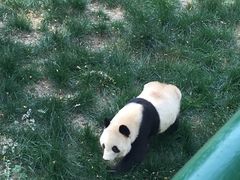 -原山国家森林公园