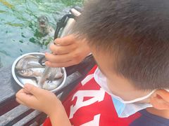 -华夏文旅海洋公园