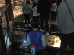 -元代水闸遗址博物馆