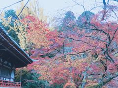 -醍醐寺