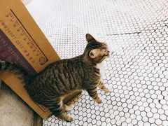 -公利真料竹蔗水(中环店)