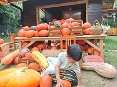 -HERRE·FARM 赫尔露营农场·团建聚会包场