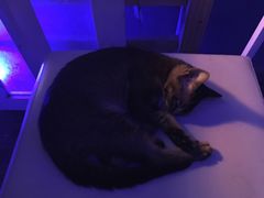 -星宿秘码(鼓浪屿老店)