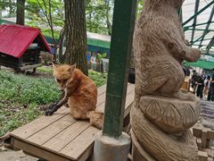 -宫城藏王狐狸村