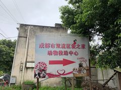 -成都爱之家动物救助中心