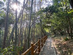 -上海佘山国家森林公园天马山园