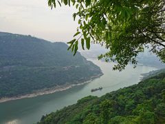 -铁山坪森林公园