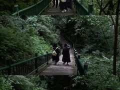 -洛阳白云山景区