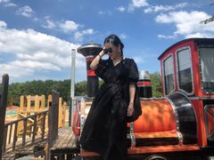 -武汉紫薇都市田园