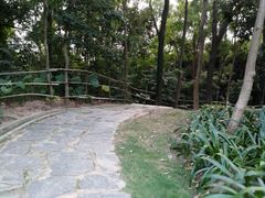 -清湖文化公园