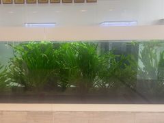 -牙博士口腔品牌连锁(昆山城区店)