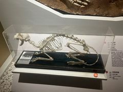 -国家自然博物馆