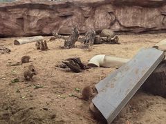 -武汉动物园