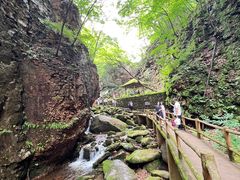 -五女峰国家森林公园