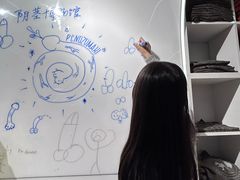 -冰岛阴茎博物馆