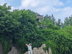 -武清南湖绿博园