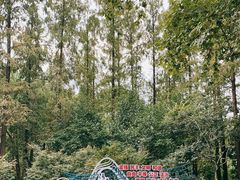 -徐家汇源景区-衡山公园