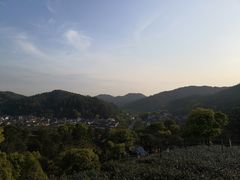 -龙井村
