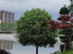 -枫香湖儿童公园