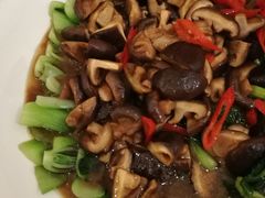 -中铁花水湾温泉酒店(大邑店)