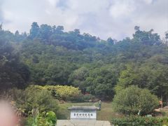 -深圳仙湖植物园