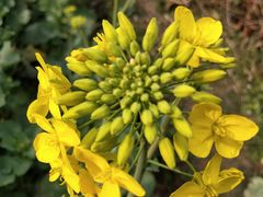 -寻龙山风景旅游区