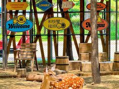 -南戴河国际娱乐中心