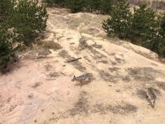 -鄂尔多斯野生动物园