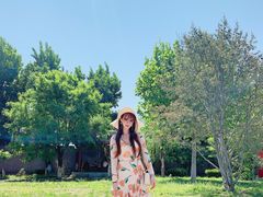 -中国艺术研究院油画院