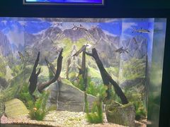 -常州海昌海洋探索馆