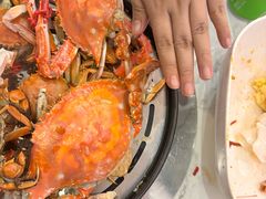 -半岛听涛蒸汽海鲜自助(K11店)
