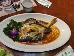 清蒸黄花鱼-青瓦餐厅·生鱼片·韩园烤肉(西塔店)