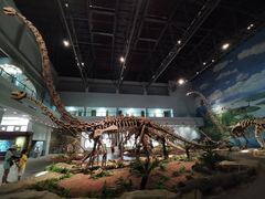 -自贡恐龙博物馆