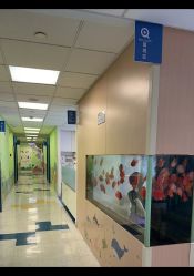 -杭州贝瑞斯美华妇儿医院·早孕·产检·儿科