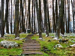 -硗碛藏寨·神木垒景区