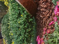 -南山植物园