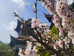 -大悲禅寺